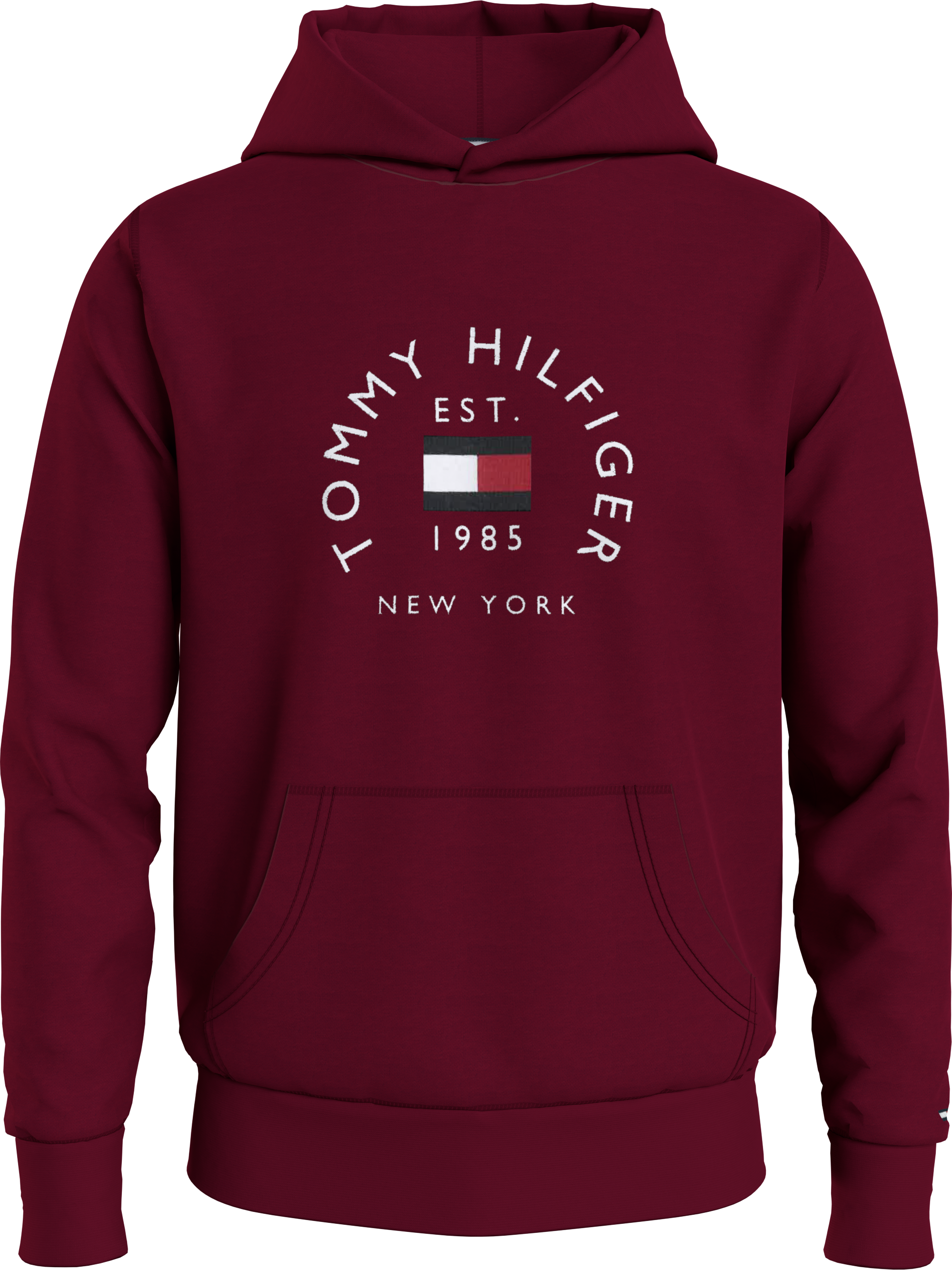 Tommy Hilfiger Sweater Grijs Hilfiger Flag Arch Hoody MW0MW27842/ZN2